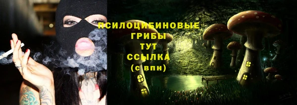 МДПВ Гусев
