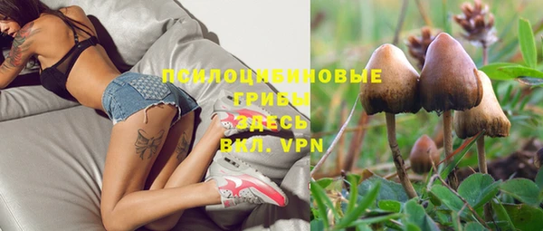 меф Богданович