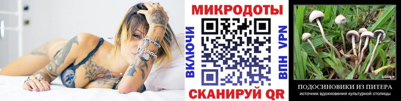 магазин продажи   Можайск  Псилоцибиновые грибы Psilocybine cubensis 